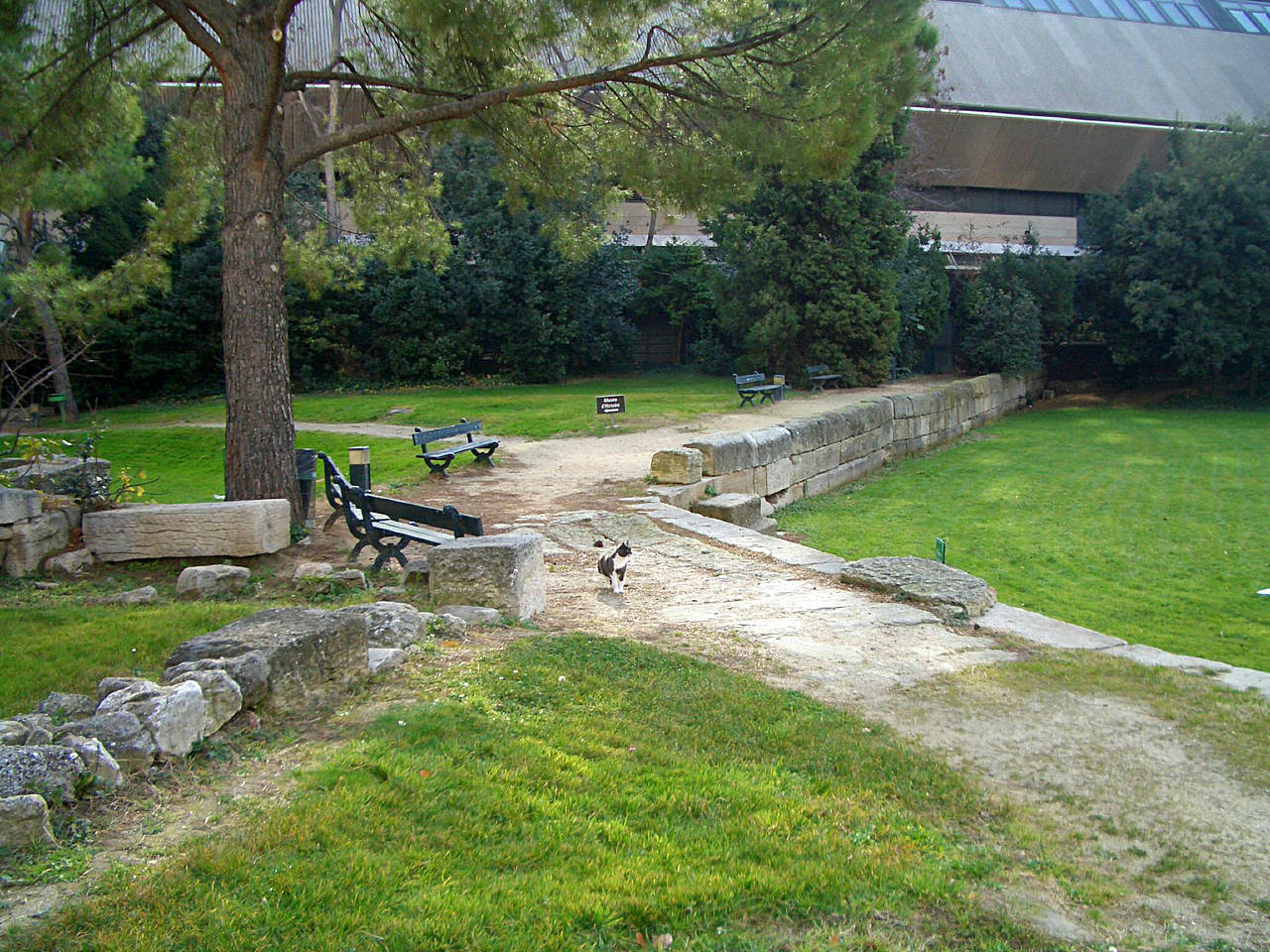 Jardin des Vestiges Foto 