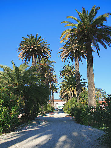 Massif des Maures