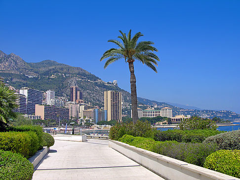 Les Spélugues - Monaco (Monte Carlo)